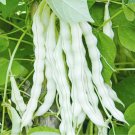 1 Bag (10 Grams / Bag) Continuously Harvestable Nine-grain White Kidney Bean Seeds