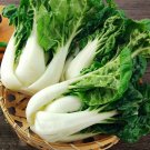 1 Bag (1000 Seeds / Bag) Dark-green-leafed Baby Bok Choy Seeds