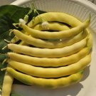 1 Bag (10 Grams / Bag) Golden Hook Kidney Bean Seeds