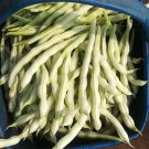 1 Bag (10 Grams / Bag) Henan Kidney Bean Seeds