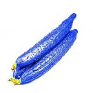 50 Seeds Blue Cucumber Seed Delicious Vegetable Seed Rare Cucumis Sativus