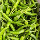 30 Seeds Zhangshugang Chili Pepper Seeds