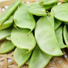 1 Bag (10 Grams / Bag) Early-maturing No.1 Hyacinth Bean Seeds