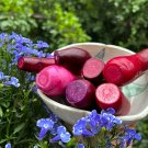 50 Seeds Iced Sugar Heart Fruit Radish