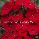 100 Seeds Periwinkle Seed Flower Vinca Cover Behind House Jardin Flowers (Color: 8)