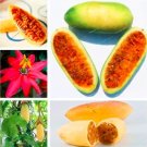 50 Seeds Passiflora Mollissima Banana Passion Fruit Seeds (Color: Mix)