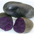 100 Seeds Potato Seeds NO GMO Purple Potatoes Fruit and Vegetable