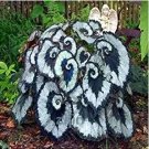 100 Seeds Janpanse Seed Coleus plant Foliage Plants (Color: Army Green)