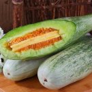 100 Seeds Horn Honey Melon Seeds - Slender Grey-Green Fruit with Light Green Flesh, Superb Flavor