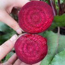 200 Seeds Long-shaped Red Garden Beet Seeds - Vigorous Growth & High Yield, Superior Flavor