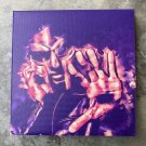 MF DOOM - “Everything That Glitters Ain’t Fishscale” Canvas Print - 8”x8”
