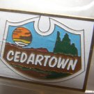 City of Cedartown Georgia Lapel Hat Pin