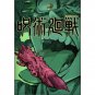 DVD Anime Jujutsu Kaisen (Sorcery Fight) Series (1-24 End) +Movie 0 English Dub