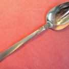 ONEIDA BROOKWOOD PLACE SPOON WM DALTON STAINLESS FLATWARE SILVERWARE