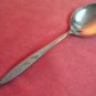 ONEIDA LTD WM A ROGERS ROYAL HARVEST PLACE SPOON PREMIER STAINLESS FLATWARE SILVERWARE