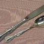 INTERNATIONAL SOUTHERN SPLENDOR PAVAN TEASPOON & PLACE KNIFE INSICO STAINLESS FLATWARE SILVERWARE