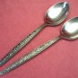 INTERNATIONAL DELUXE DI LIDO DILIDO 2 PLACE SPOONS STAINLESS FLATWARE SILVERWARE