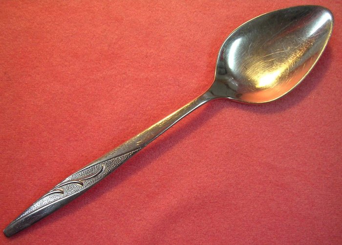 INTERNATIONAL WM ROGERS MFG CHARM PLACE SPOON STAINLESS FLATWARE SILVERWARE