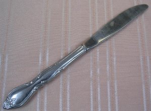 ONEIDA LTD WM A ROGERS MONTCLAIR PLACE KNIFE STAINLESS FLATWARE SILVERWARE