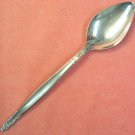 INTERNATIONAL INSPIRATION SERVING SPOON DELUXE STAINLESS FLATWARE SILVERWARE