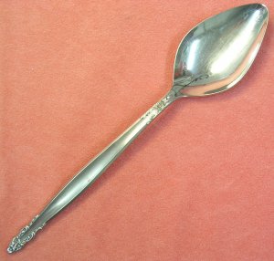 INTERNATIONAL INSPIRATION SERVING SPOON DELUXE STAINLESS FLATWARE SILVERWARE