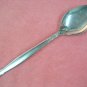 INTERNATIONAL INSPIRATION SERVING SPOON DELUXE STAINLESS FLATWARE SILVERWARE