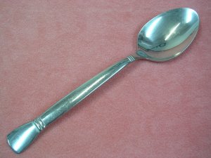 ONEIDA NEXUS PLACE SPOON STAINLESS FLATWARE SILVERWARE