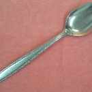 INTERNATIONAL FASCINATION PLACE SPOON DELUXE STAINLESS FLATWARE SILVERWARE