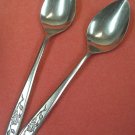 NATIONAL NS CHARMANTE 2 PLACE SPOONS STAINLESS FLATWARE SILVERWARE
