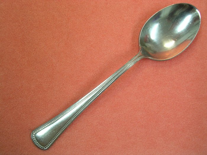 ONEIDA 1881 ROGERS BEADED ARTISTRY BELFORD NEEDLEPOINT PLACE SPOON