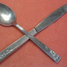 ONEIDA COBBLESTONE PLACE SPOON & KNIFE LTD STANHOME STAINLESS FLATWARE SILVERWARE