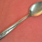 IMPERIAL BREWSTER ROSE PLACE SPOON STAINLESS FLATWARE SILVERWARE