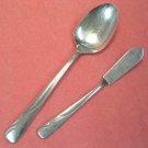 ONEIDA LTD OCEANIC SERVING SPOON & SPREADER STAINLESS FLATWARE SILVERWARE