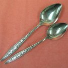 EKCO SANTIAGO PLACE & TEASPOON ETERNA STAINLESS STEEL FLATWARE SILVERWARE