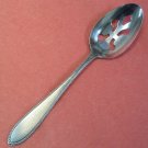 INTERPUR INR 5 INR5 PIERCED SERVING SPOON STAINLESS FLATWARE SILVERWARE