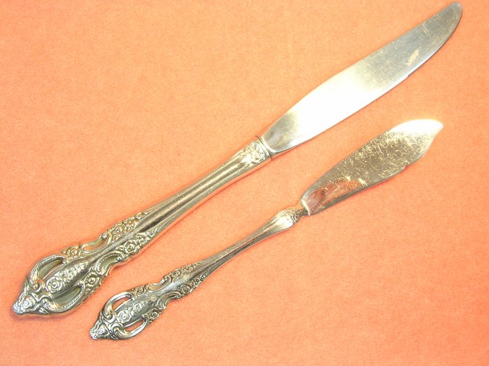 ONEIDA SSS PEMBROOK RENOIR SPREADER & PLACE KNIFE STAINLESS FLATWARE