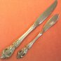 ONEIDA SSS PEMBROOK RENOIR SPREADER & PLACE KNIFE STAINLESS FLATWARE SILVERWARE