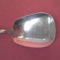 ONEIDA COMMUNITY SOUTH SEAS SUGAR SPOON  FLATWARE SILVERWARE SILVERPLATE