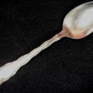 REED & BARTON GT Co REX 1894 TEASPOON SILVER PLATE SILVERWARE FLATWARE