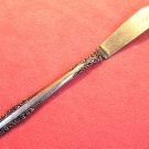 NATIONAL FAIRLAWN SPREADER STAINLESS FLATWARE SILVERWARE