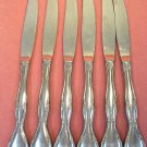 SEARS ROEBUCK TRADITION LAKEWOOD 6 PLACE KNIVES STAINLESS FLATWARE SILVERWARE