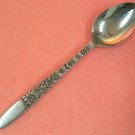 HANFORD FORGE SPRING LAKE PLACE SPOON STAINLESS FLATWARE SILVERWARE