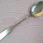 AMERICANA PLACE SPOON STAINLESS FLATWARE SILVERWARE