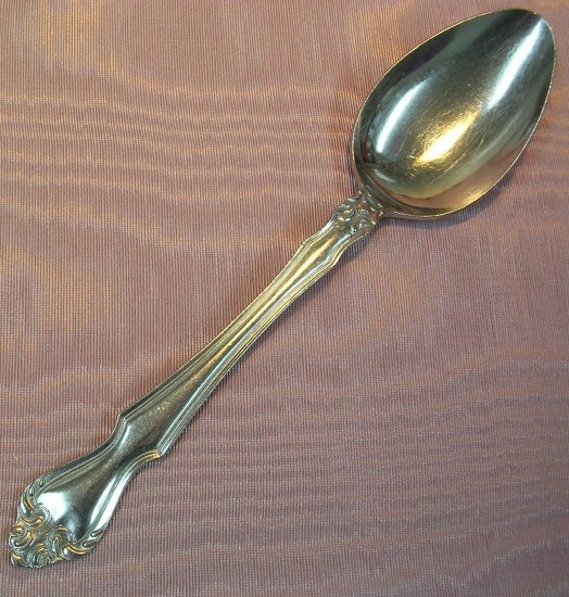 EVERBRITE PREMIER unknown pattern PLACE SPOON STAINLESS FLATWARE SILVERWARE