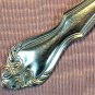 EVERBRITE PREMIER unknown pattern PLACE SPOON STAINLESS FLATWARE SILVERWARE