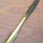 ONEIDA SATIN FREMONT PLACE KNIFE STAINLESS FLATWARE SILVERWARE