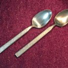 STANLEY ROBERTS SRI TARQUIN 2 PLACE SPOONS STAINLESS FLATWARE SILVERWARE