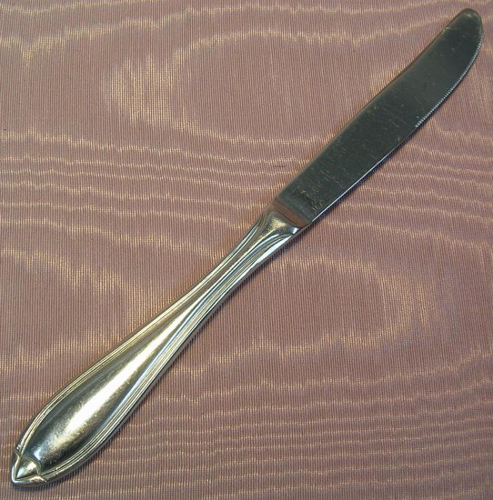 HAMPTON SILVERSMITHS NORTICA PLACE KNIFE STAINLESS FLATWARE SILVERWARE