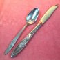 ONEIDA MY ROSE TEASPOON & KNIFE COMMUNITY STAINLESS FLATWARE SILVERWARE