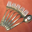 ONEIDA MY ROSE 5 SALAD FORKS & PIERCED JELLY SERVER COMMUNITY STAINLESS FLATWARE SILVERWARE ONEIDA MY ROSE 5 SALAD FORKS & PIERCED JELLY SERVER COMMUNITY STAINLESS FLATWARE SILVERWARE